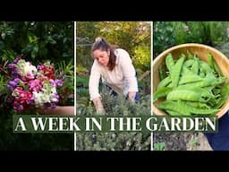 Slow Spring Days in the Garden 💐 My Favourite Foliage, Succession Planting Flowers & Spring Harvests