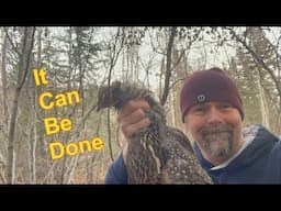 Snaring Ruffed Grouse & Cooking Actual Coney Caught On The Alone Show, How Cool Is That...