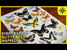 Every Extinct Butterfly MAPPED