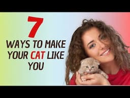 How To Make Your Cat Like You