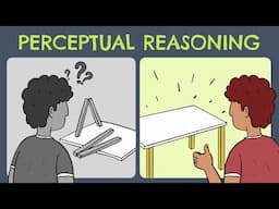 Perceptual Reasoning (Definition + Examples)