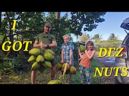 Climbing Coconut Trees in Hawaii: The Kilcher Family's Ultimate Coconut Testing Adventure!