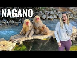 Magical Day with Nagano’s Snow Monkeys (National Geographic-Like Experience in Japan)