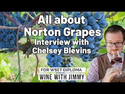 Norton: The Forgotten Virginia Grape 🍷 | Chelsey Blevins from 53rd Winery & Vineyard