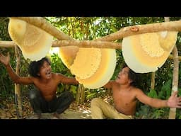 Unbelievable! Two Brave Brothers Harvesting Three Beehive Barehanded