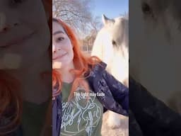 #horsegirl