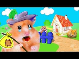 Hamster, Please Come Back Home! Review Leave Fled Home Schools in Hamster Stories