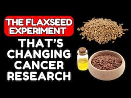 The Flaxseed Experiment That's Changing Cancer Research