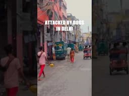 Attacked by Dogs in Delhi 🇮🇳 Chandni Chowk Vlog