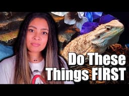 START STRONG | New Bearded Dragon Tips