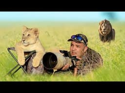 Lion Shocked Photographer while he was Taking Pictures of the Pride