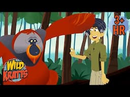 Super Smart Orangutans | Full Episodes | Wild Kratts