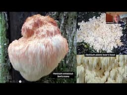 Mushrooms of the Pacific Northwest by Dr. Michael Beug