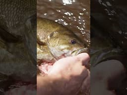 Minnesota Popper Fishing OUT SUNDAY