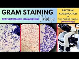 Gram Staining Procedure_Microbiological Technique_A Complete Technique (BAM: R32)