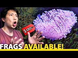 I fragged the legendary Weeping Willow Leather Coral!