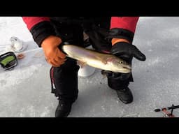 Ice fishing for rainbow trout & Cutthroat Trout at Scofield Reservoir in Utah