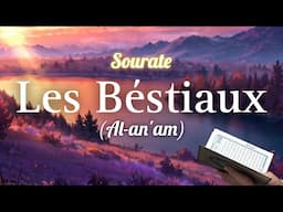 Sourate/Coran Al-An'am (Les béstiaux) (سورة الأنعام) - Magnifique Récitation Qui Apaise le Cœur