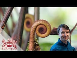 The Origin and Evolution of Botanical Spirals | Sandy Hetherington