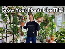 12 Reasons my Indoor Plants look GREAT - Crash Course for Happy Houseplants