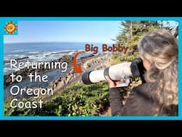 Returning to the Oregon Coast with a Canon RF 200 800mm Lens | Van Life Adventure Photography Series