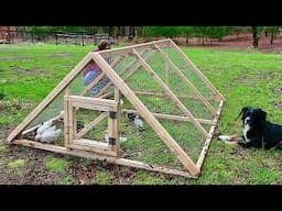 Affordable Chicken run build