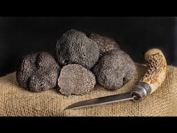 Understanding Winter Black Truffle Varieties and Prices