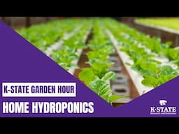 K-State Garden Hour Webinar Series: Home Hydroponics