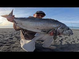 Targeting BIG Blue Moki & Filming The Bite! | NZ Fishing