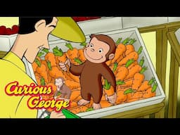 George The Gardener! 🐵 Curious George 🐵 Kids Cartoon 🐵 Kids Movies