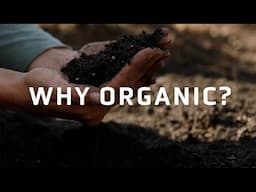 The Benefits of Organic Gardening Promoting a Balanced Ecosystem