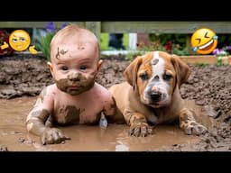 Funniest Animal Videos 2024 🤣 - Funny Cats And Dogs Videos 😇🥰