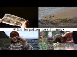 The Lost Fossil + Crystals Films From Five Years ago! Happy Mudmas!