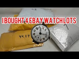 What's Hiding in These 4 MYSTERY eBay Watch Lots?