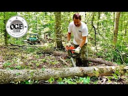 Foundation and Root Cellar Overview