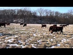 Greg gives brief history of Green Pastures Farm, sharing success and failures along the way.