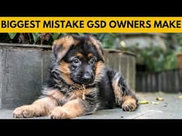 The BIGGEST Mistake That New German Shepherd Owners Make