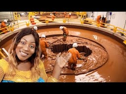 How Chocolate Is Made