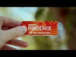 Phoenix 200 in 120 Format - Final Thoughts on This Film