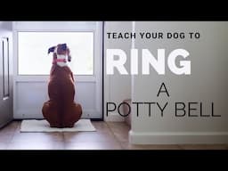 Teach Your Dog to Ring a Potty Bell