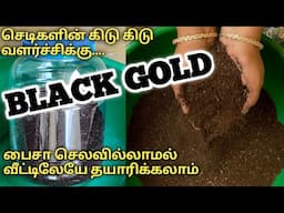 Making Leaf Compost/ Leaf Mold/BLACKGOLD at home easily. இலை உரம் வீட்டிலேயே தயாரிப்பது எப்படி?