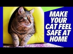 How to Make Your Cat Feel Safe and Secure in Your Home