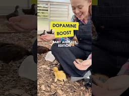 Cuteness Alert! These Baby Animals are Pure Dopamine ✨🐣 #mentalhealth