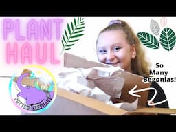 PLANT HAUL/ UNBOXING [Potted Elephant!]