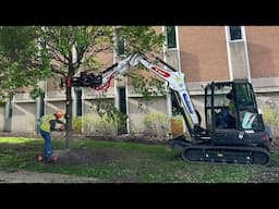 Efficient Tree Removal with a Roto Tilt on Bobcat E60 and Wood Chipper in Action!