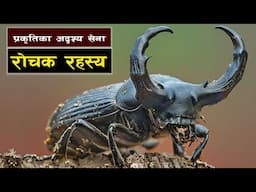 प्रकृतिका अदृश्य सेना || Nature’s Strongest Insect with an Unbelievable Power!  || Bishwo Ghatana