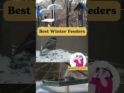 Best Bird Feeders For Winter!