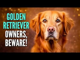 10 Things You Should Never Do To Golden Retriever