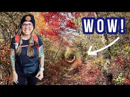 Fall hiking in Great Smoky Mountains on Huskey Gap Trail