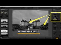 DYNAMIC BRIGHTNESS IN NIK COLLECTION 7 SIVER EFEX  TUTORIAL